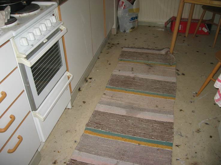 Tulipalo: Sauna, kiukaalla tavaraa