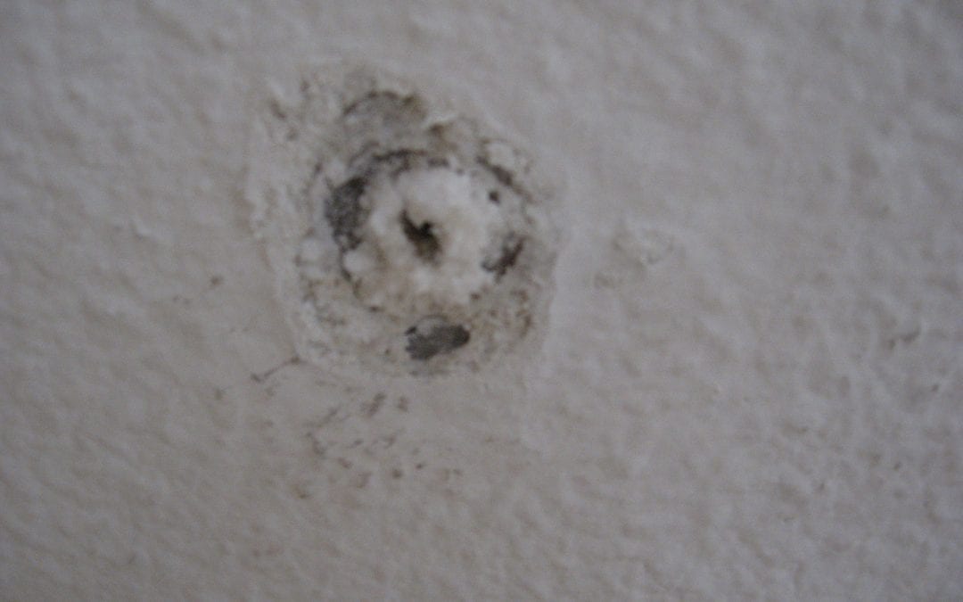 28 08 2009 002.jpg