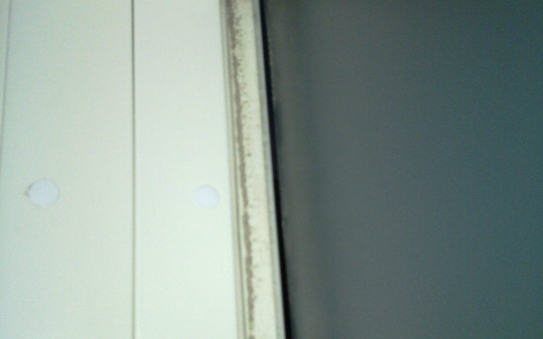 20110302_013.jpg