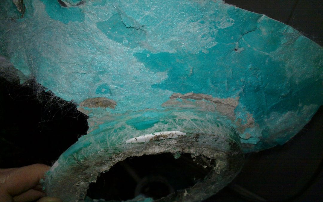 20100204_006.jpg
