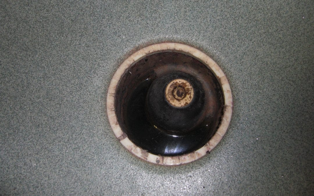 CIMG3726.JPG