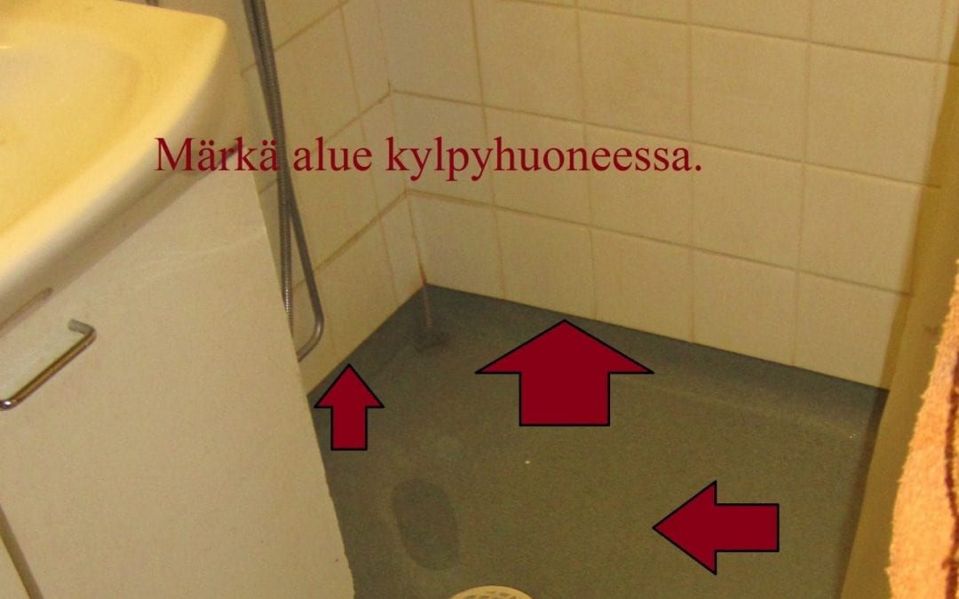 Vesi, kosteusvaurio, kylpyhuoneen maton alla vettä