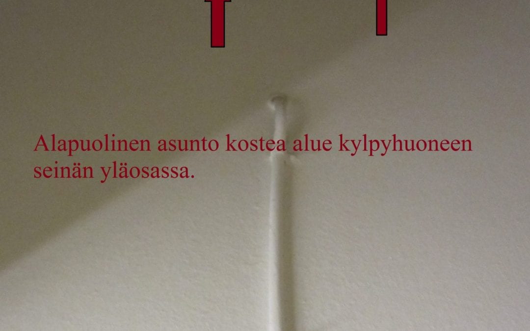 Vesi, kosteusvaurio, viemäritukos