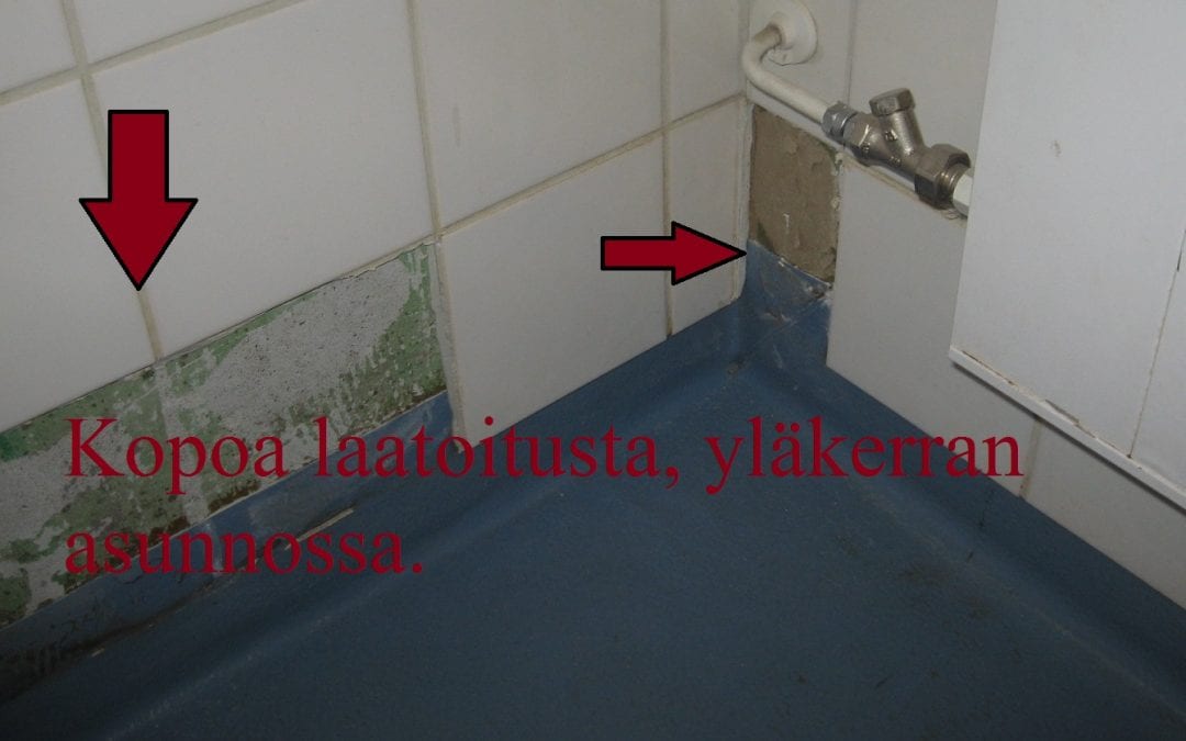 Vesi, kosteusvaurio, kopoa laatoitusta kylpyhuoneessa