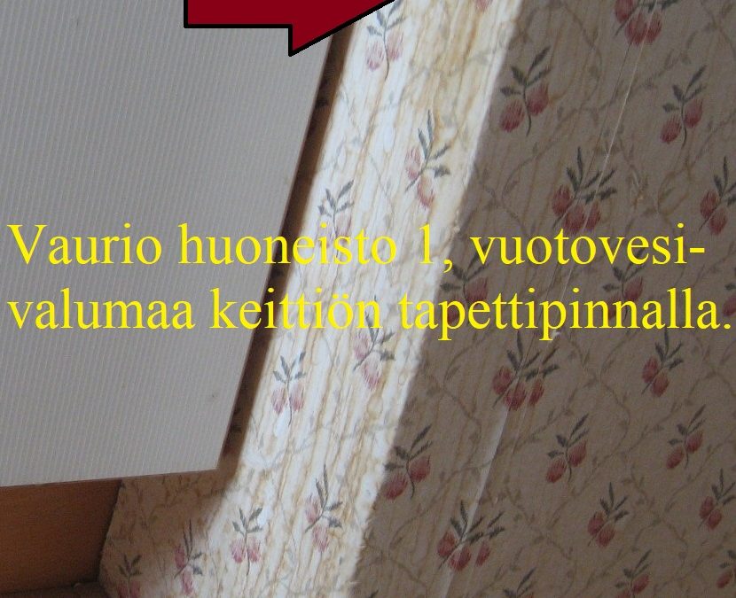 Vesi, kattokaivovuoto alapuolisiin asuntoihin, kosteusmittaus