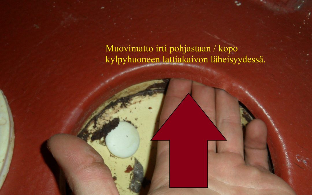 Vesi, kylpyhuoneen lattiakaivo, kosteusvaurio, kosteusmittaus